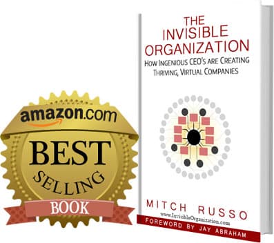 The Invisible Organization book